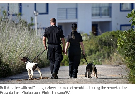 British police with sniffer dogs check an area of scrubland during the search in the Praia da Luz. Photograph: Philip Toscano/PA