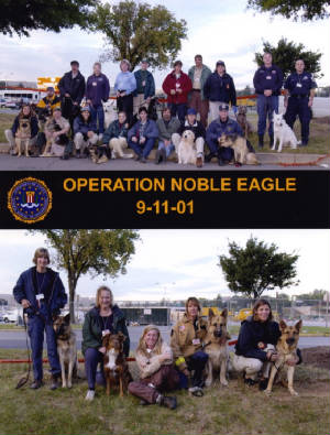 Operation Noble Eagle