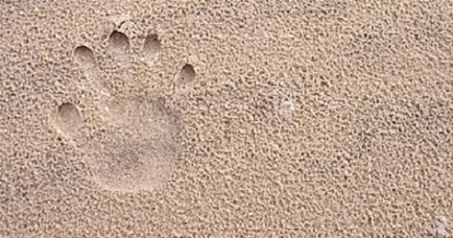 Child handprint in sand