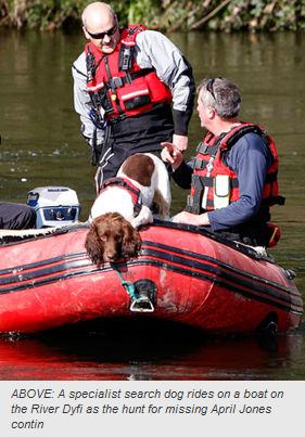 ABOVE: A specialist search dog rides on a boat on the River Dyfi as the hunt for missing April Jones continues