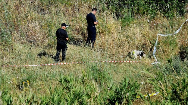 Police use sniffer dogs to search a patch of scrubland just outside Praia da Luz. Credit: Nick Ansell/PA Wire