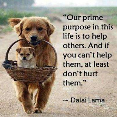 "Our prime purpose in this life is to help others. And if you can't help them, at least don't hurt them." - Dalai Lama