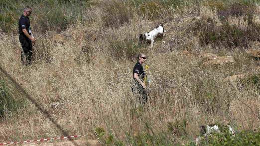 Police worked with experienced sniffer dogs on the site