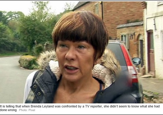 It is telling that when Brenda Leyland was confronted by a TV reporter, she didn't seem to know what she had done wrong Photo: Pixel